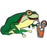 frog juice rules|Tam Valley Depot.